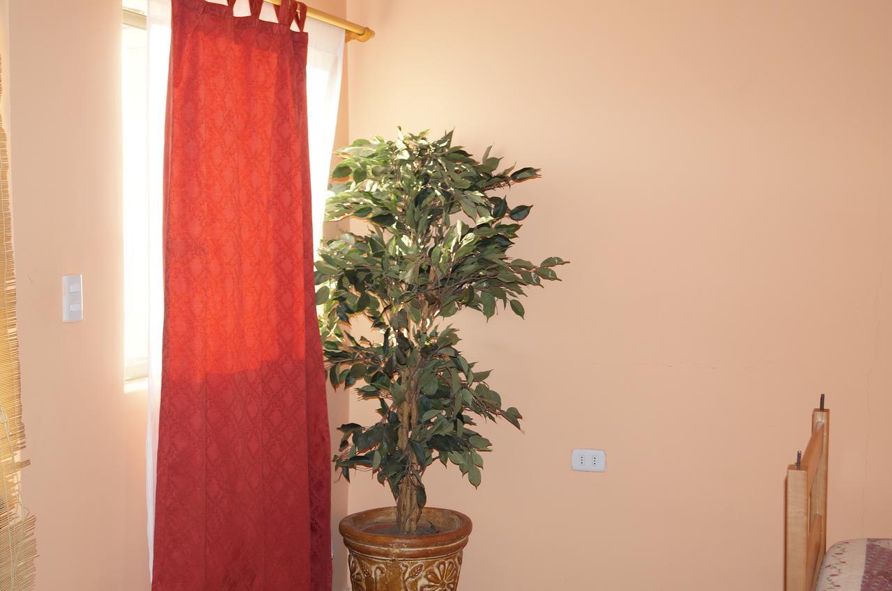 Hostal Intipara San Pedro de Atacama Eksteriør bilde